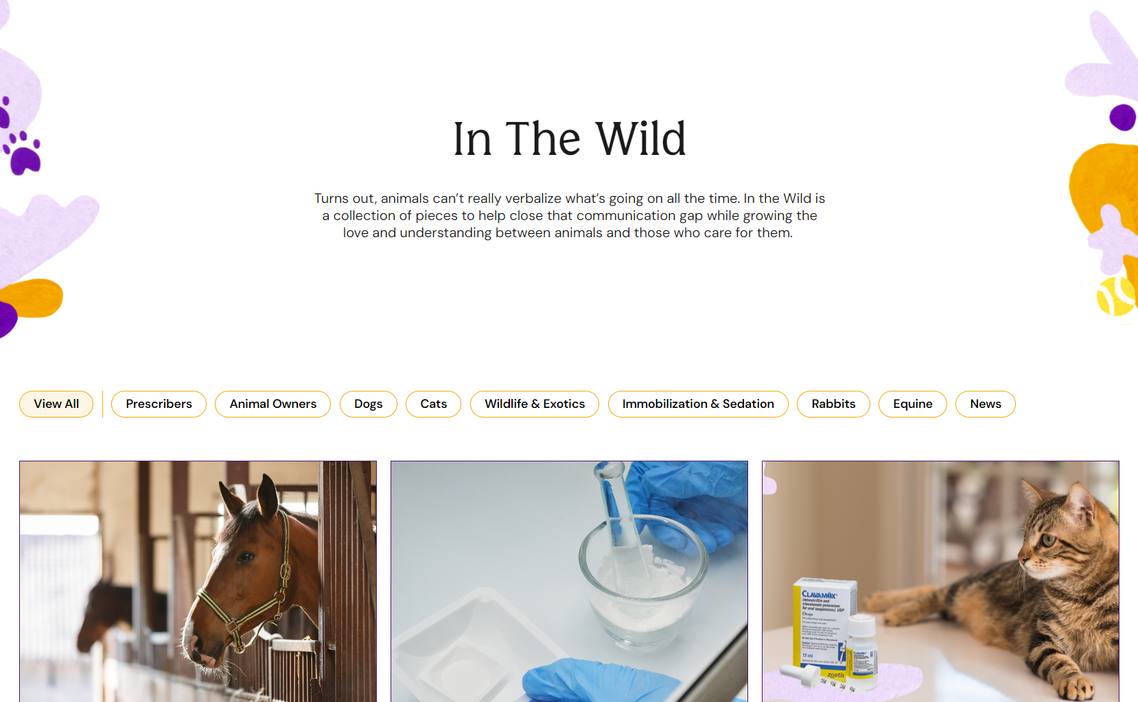 in-the-wild